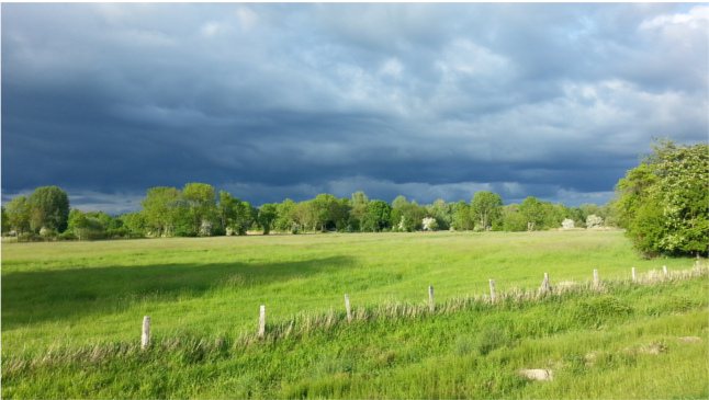 Reisebericht Deutschland Wiese feld Zaun Wolkensattes gruen